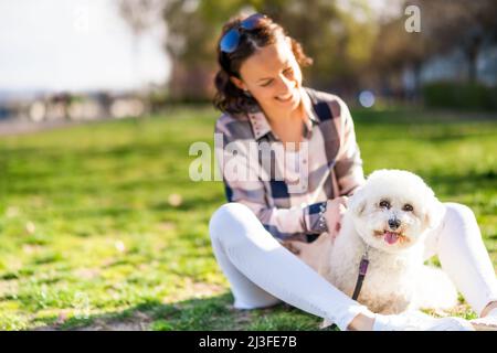 Happy woman is playing with her white bichon frise dog on sunny day in park. Stock Photo