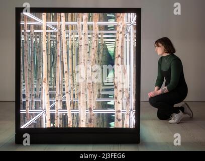 Saatchi Gallery, London, UK. 8 April 2022. Saatchi Gallery presents LA-based British-born artist Anthony James, exhibited alongside RHS Botanical Art & Photography Show, running from 9th April -29 April 2022. The Gallery 4 space is illuminated by James’ famous 'Birch Tree' series - made up of several variously sized, vertical light boxes containing the barks of birch trees, resulting in the illusion of an endless birch forest. Square Roots also includes ‘Lightfield’, an array of 12 interconnected cubic structures. The inside surfaces are lit with LED lights containing two-way mirrors reflectin Stock Photo
