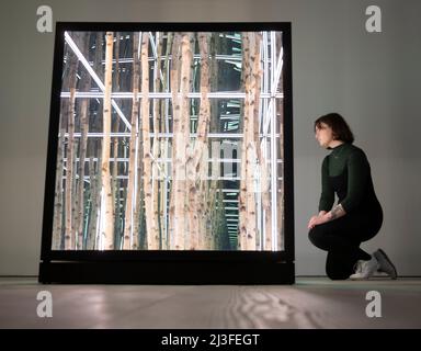 Saatchi Gallery, London, UK. 8 April 2022. Saatchi Gallery presents LA-based British-born artist Anthony James, exhibited alongside RHS Botanical Art & Photography Show, running from 9th April -29 April 2022. The Gallery 4 space is illuminated by James’ famous 'Birch Tree' series - made up of several variously sized, vertical light boxes containing the barks of birch trees, resulting in the illusion of an endless birch forest. Square Roots also includes ‘Lightfield’, an array of 12 interconnected cubic structures. The inside surfaces are lit with LED lights containing two-way mirrors reflectin Stock Photo