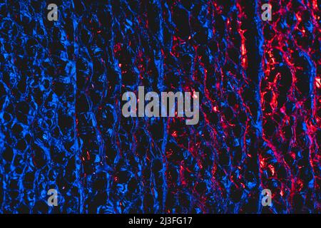Blue red textured packing material Stock Photo
