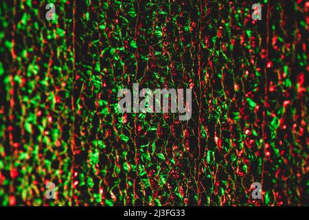 Yellow green textured packing material Stock Photo