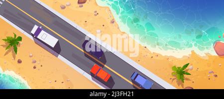 Road with cars top view, straight two lane highway along sea beach with sand and palm trees. Cartoon overhead background with vehicles riding at aspha Stock Vector