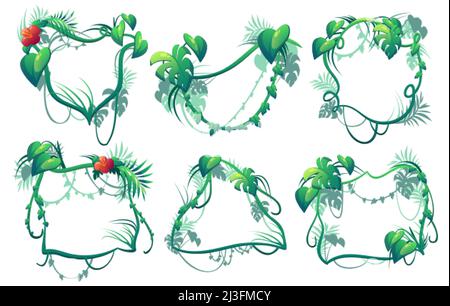 Liana frames, cartoon jungle vines, tropical branch borders. Vector Amazon rainforest thicket. Tropic forest plant leaves and flowers, climbing and ha Stock Vector
