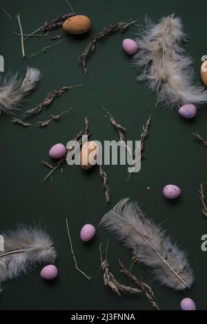 Quail eggs and feathers on green background. Moody easter decor, banner format. Stock Photo