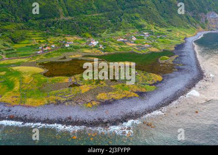 Faja dos Cubres marshes at Sao Jorge island in the Azores, Portugal. Stock Photo