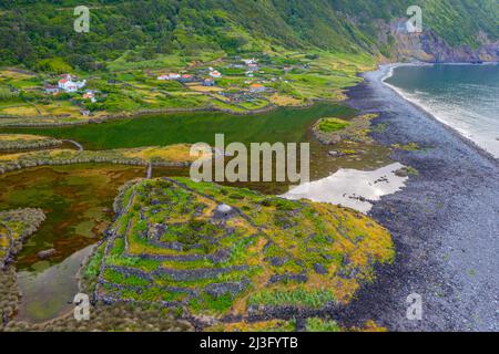 Faja dos Cubres marshes at Sao Jorge island in the Azores, Portugal. Stock Photo