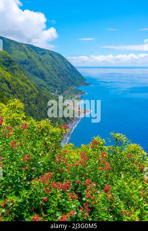 Faja dos Vimes village at Sao Jorge island in Portugal. Stock Photo