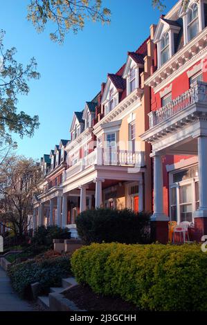 Classic homes line the streets of Monument Avenue in Richmond, Virginia Stock Photo