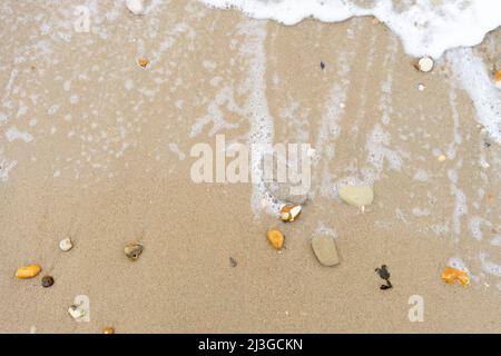 Sea and shells and stone on a sandy beach seen from above with copy space room for text. Marine theme.  Natural background. Top view. Stock Photo