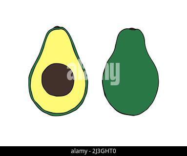 Vector hand drawn doodle sketch colored avocado isolated on white background Stock Vector