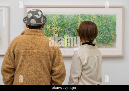 London, UK. 8th Apr, 2022. Work by medalist Yitsuko Kurashina - RHS Botanical Art & Photography Show at the Saatchi Gallery. The show is open from Saturday 9th April - Friday 29th April 2022. Credit: Guy Bell/Alamy Live News Stock Photo
