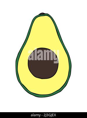 Vector hand drawn doodle single sketch colored avocado isolated on white background Stock Vector