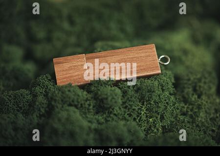 Closeup of a wooden pendrive with copy space on green grass Stock Photo