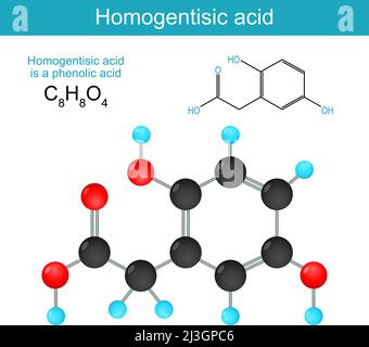 homogentisic acid. Structural chemical formula of a homogentisic acid. Skeletal formula of a phenolic acid. Alkaptonuria. Vector illustration Stock Vector