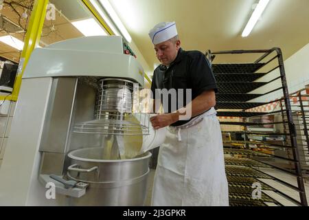 France, Meuse, Commercy, Thierry Zins pours the flour into the spiral kneader for the preparation of the madeleine dough in the shop and madeleine manufacturing workshop of Commercy La Boite à Madeleines of the Zins brothers, madeleiniers since 1951 Stock Photo