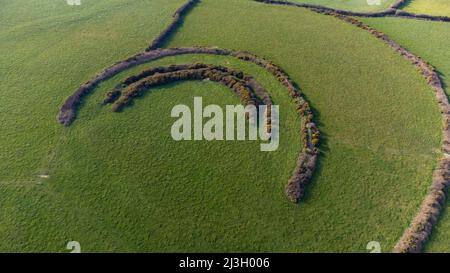 Aerial view of Keeston Castle, Partial contour fort, Pembrokeshire, Wales Stock Photo