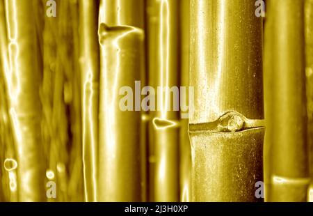 Pop Art Surreal Style Golden Chocolate Bar for Abstract Backdrop Stock ...