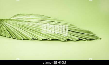 Beautiful green serving tray of leaf shape. Dish for food, stand for jewelry and other things in eco style. High quality photo Stock Photo