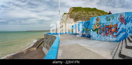 France, Seine Maritime, Saint Martin en Campagne, Cote d'Abatre Stock Photo