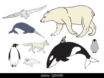 Vector set bundle of colored hand drawn doodle sketch polar north animals isolated on white background Stock Vector