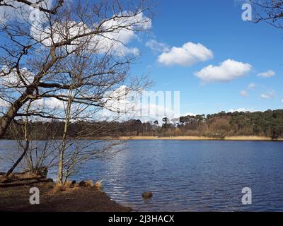 Boldermere Lake at Wisley and Ockham Common, Chatley Heath, Surrey, UK. Stock Photo