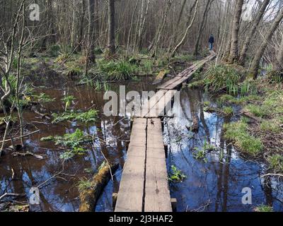 Walkway beside Boldermere Lake at Wisley and Ockham Common, Chatley Heath, Surrey, UK. Stock Photo