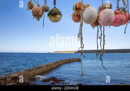 Colorful fishing buoys hanging from a roof in a harbor in Cornwall Stock Photo