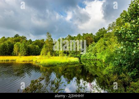 Moor lake in the Red Moor in the Hessian Rhoen Mountains Stock Photo