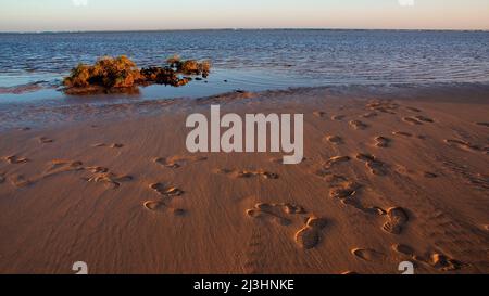 Spain, Canary Islands, Fuerteventura, south of the island, Jandia, beach, blur footprints in the sand, rocks right on the coast, sea, dark blue, stripes sky light blue Stock Photo