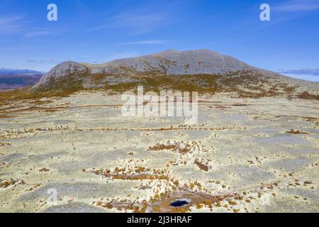 Aerial view over the Norwegian tundra covered in reindeer lichen (Cladonia rangiferina) in autumn / fall, Innlandet, Eastern Norway Stock Photo