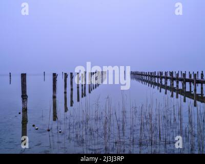 Foggy atmosphere at the Ammersee, Utting Stock Photo
