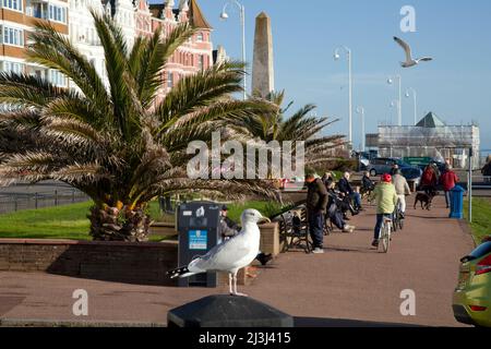 Bexhill-on-sea, Sussex, seafront promenade with palm trees, seagulls, cyclists and stone needle war memorial Stock Photo