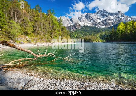 Idyllic Eibsee lake on a sunny spring day in front of snowy Zugspitze mountain. Wetterstein, Bavaria, Germany, Europe Stock Photo