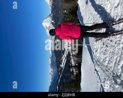 Ski resort Rosshütte, skier looks into the distance, Hohe Munde, Inntal, nature, mountains, winter, blue sky, Seefeld in Tirol, Austria Stock Photo