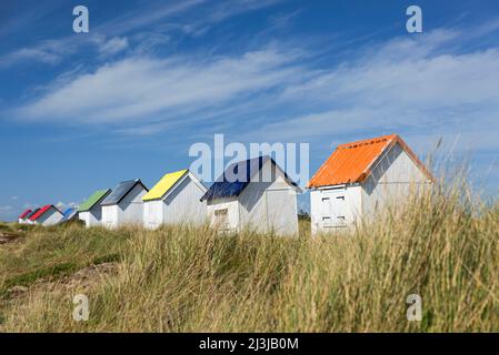colorful beach cottages in the dunes of Gouville-sur-Mer, France, Normandy, Département Manche Stock Photo