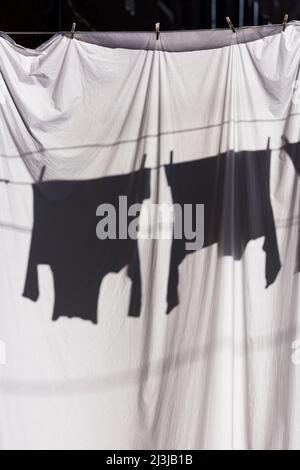 Laundry hanging on the clotheslines stretched between the house facades in Castello, backlight and shadow, Italy, Veneto, Venice Stock Photo