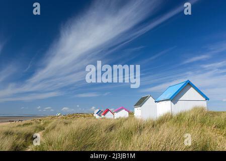 colorful beach cottages in the dunes of Gouville-sur-Mer, France, Normandy, Département Manche Stock Photo