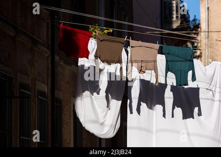 Laundry hangs on the clotheslines stretched between the house facades in Castello, Italy, Veneto, Venice Stock Photo