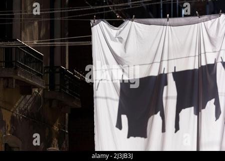 Laundry hanging on the clotheslines stretched between the house facades in Castello, backlight and shadow, Italy, Veneto, Venice Stock Photo