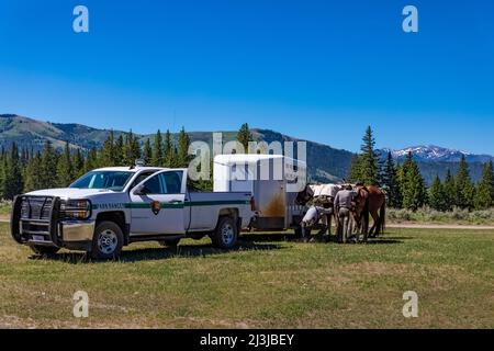 National Park Service Rangers saddling horses for trail patrol in Yellowstone National Park, USA [No model releases; editorial licensing only] Stock Photo