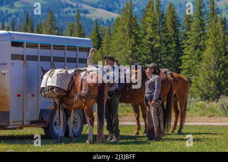 National Park Service Rangers saddling horses for trail patrol in Yellowstone National Park, USA [No model releases; editorial licensing only] Stock Photo