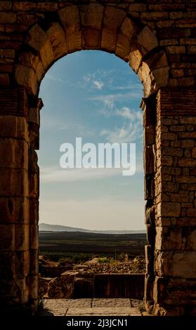 Volubilis, archaeological site, antiquity, Maghreb, Morocco, Africa Stock Photo