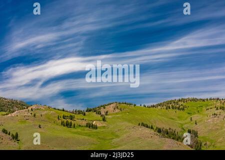 June landscape in Lamar Valley with dramatic clouds overhead, Yellowstone National Park, Wyoming, USA Stock Photo