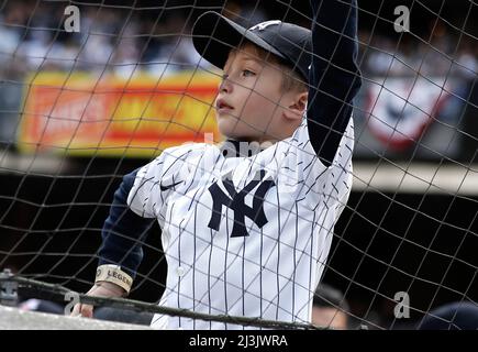 MLB Yankees Baseball Female Fan in Midtown Manhattan, NYC Stock Photo -  Alamy