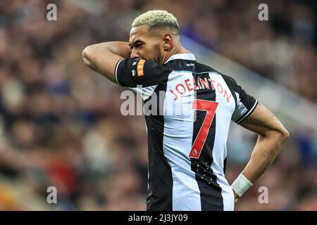 Joelinton #7 of Newcastle United during the game Stock Photo - Alamy