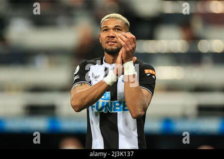 Joelinton #7 of Newcastle United applauds the fans Stock Photo - Alamy