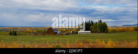 Vast rural countryside in autumn colours with farm structures on a farm and a forest leading to the horizon, viewed along BC Highway 16 Stock Photo
