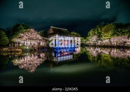 Evening at Kyoto's  Heian Jingu Shrine, a Shinto shrine surrounded by   weeping cherry trees. Stock Photo