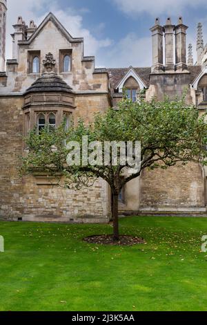 UK, England, Cambridge.  Window to Sir Isaac Newton's Lodgings, Trinity College. Stock Photo