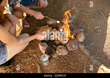 Theyre almost ready. Cropped shot of two campers roasting marshmallows over a campfire. Stock Photo